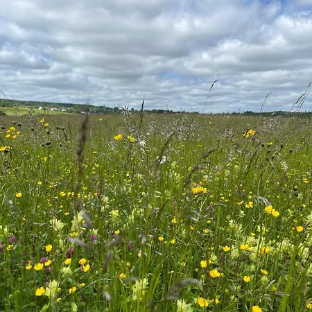 Дом отдыха Eifel Moments