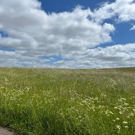 Eifel Moments Vakantiehuis *