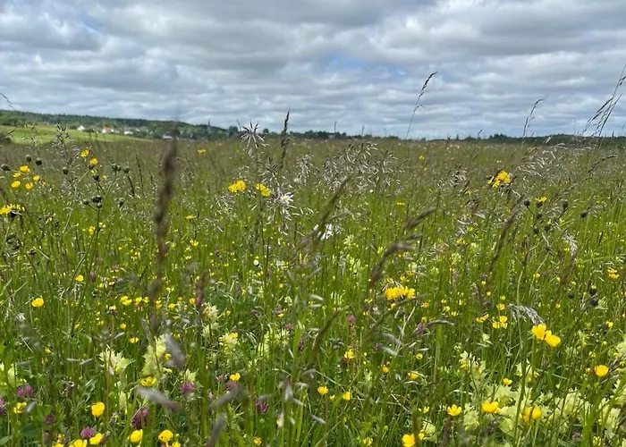 Дом отдыха Eifel Moments